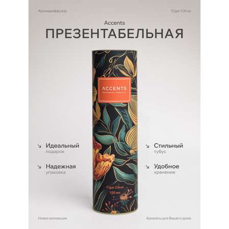 Диффузор с сухоцветами в Премиум тубусе Accents Cigar Citrus