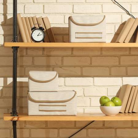 Коробка для хранения CASY HOME с крышкой 21х26х15см ВО-013