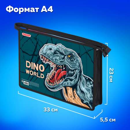 Папка для тетрадей Пифагор А4
