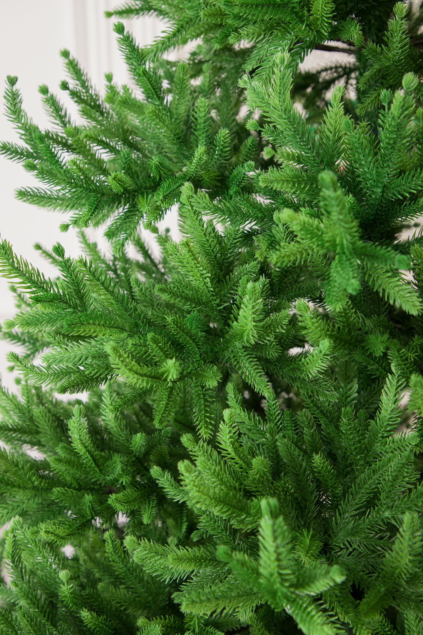 Ель Византийская Империя Ёлок 200 см - фото 5