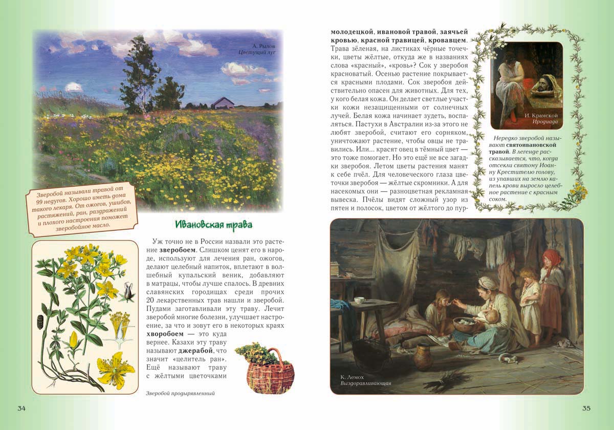 Книга Белый город Детский травник. - 2-е изд. - фото 5