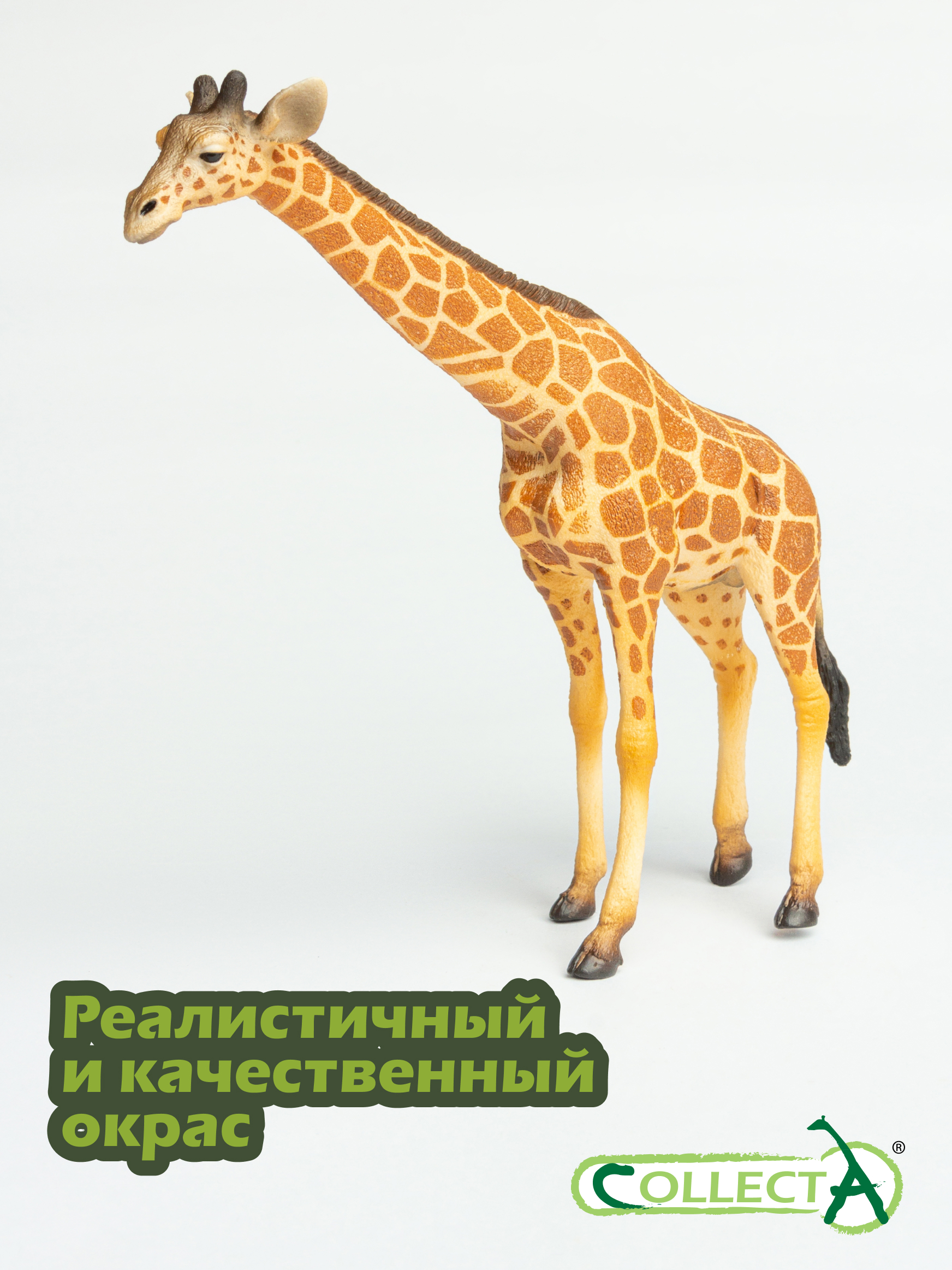 Фигурка Collecta Сетчатый жираф - фото 4