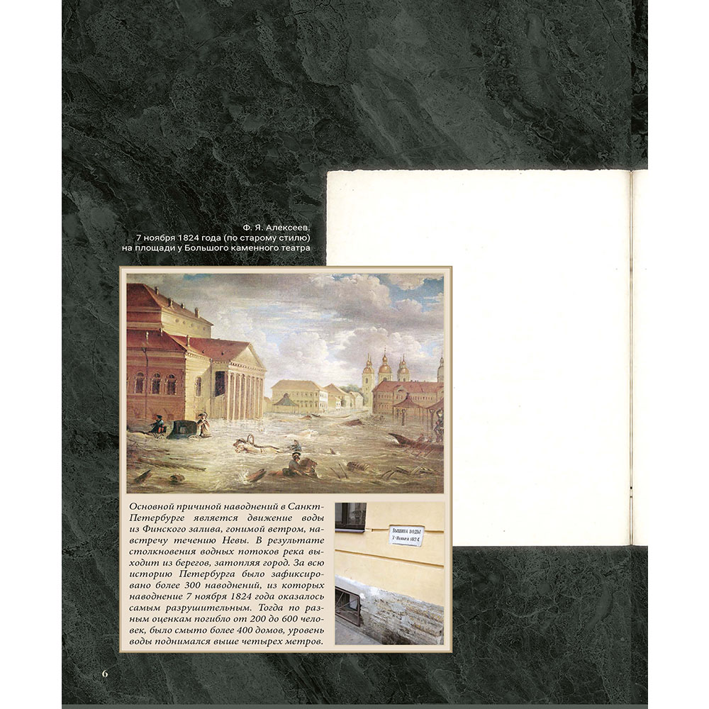 Книга Проспект Медный всадник. Школьная программа. Пушкин - фото 7