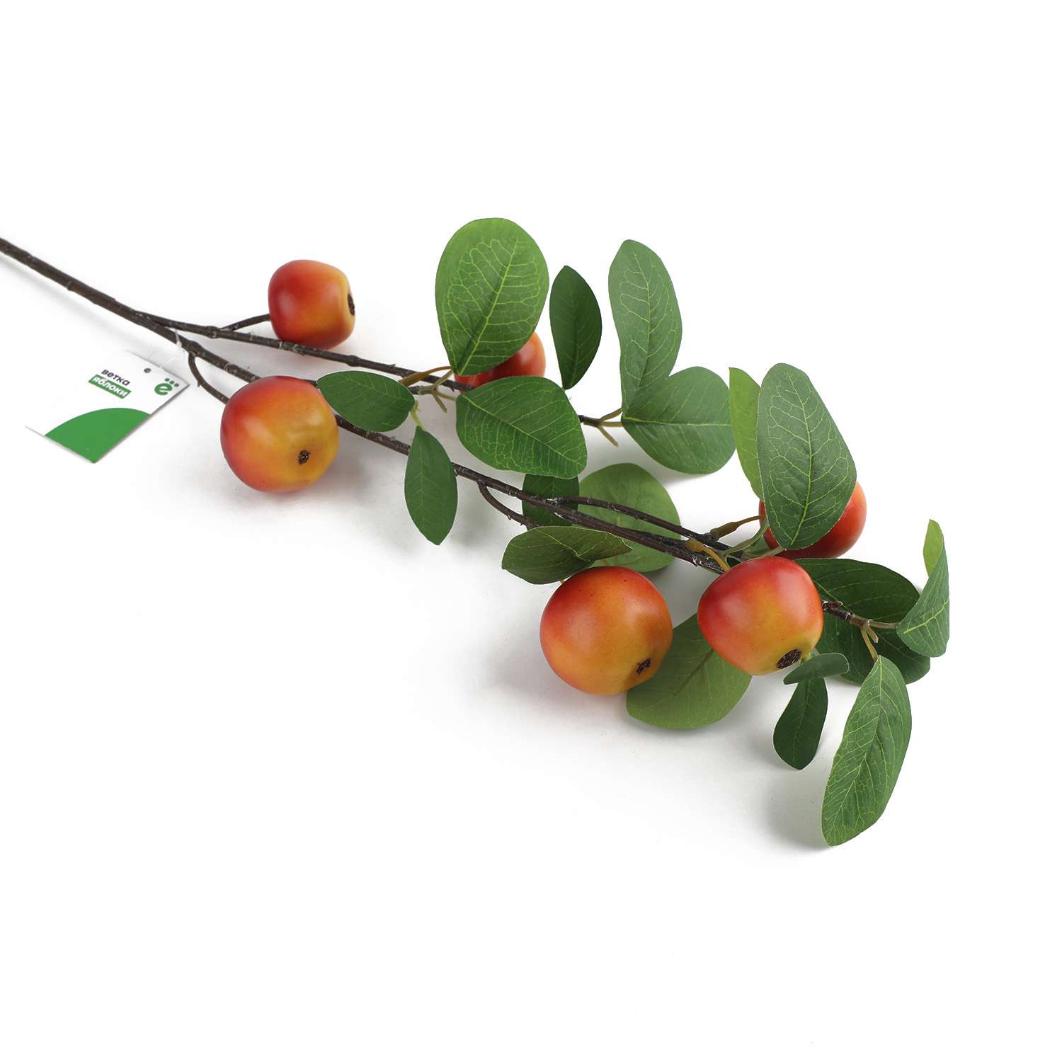 Ветка ё Яблоки - фото 3