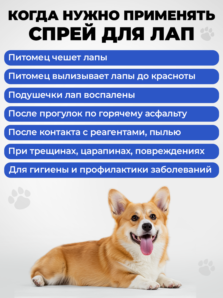 Спрей для обработки лап Spets 250 мл - фото 2