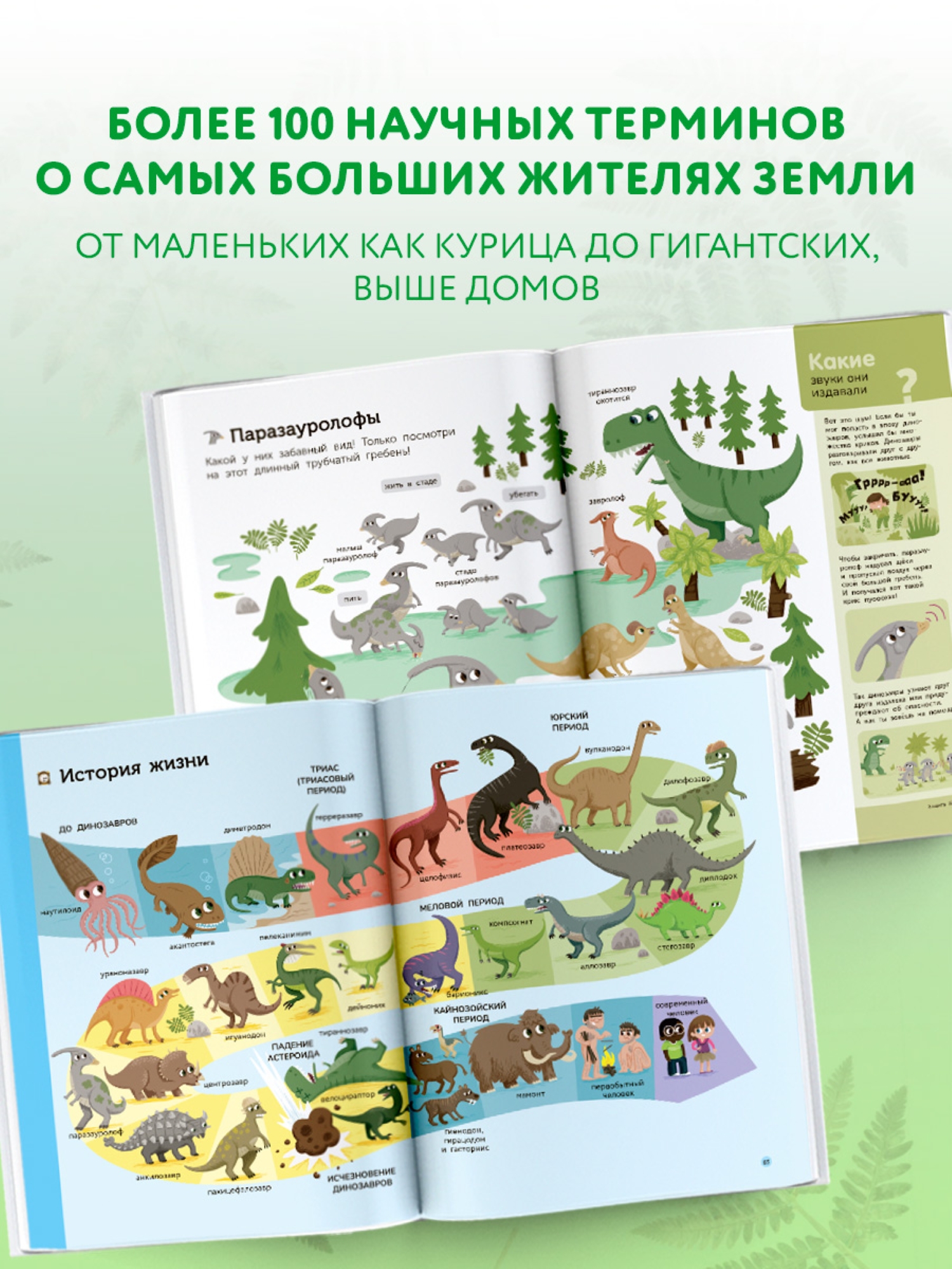 Энциклопедия АСТ мои первые почему Динозавры - фото 7