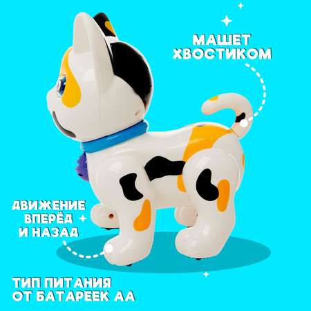 Кошка РУ Автоград Умный котёнок