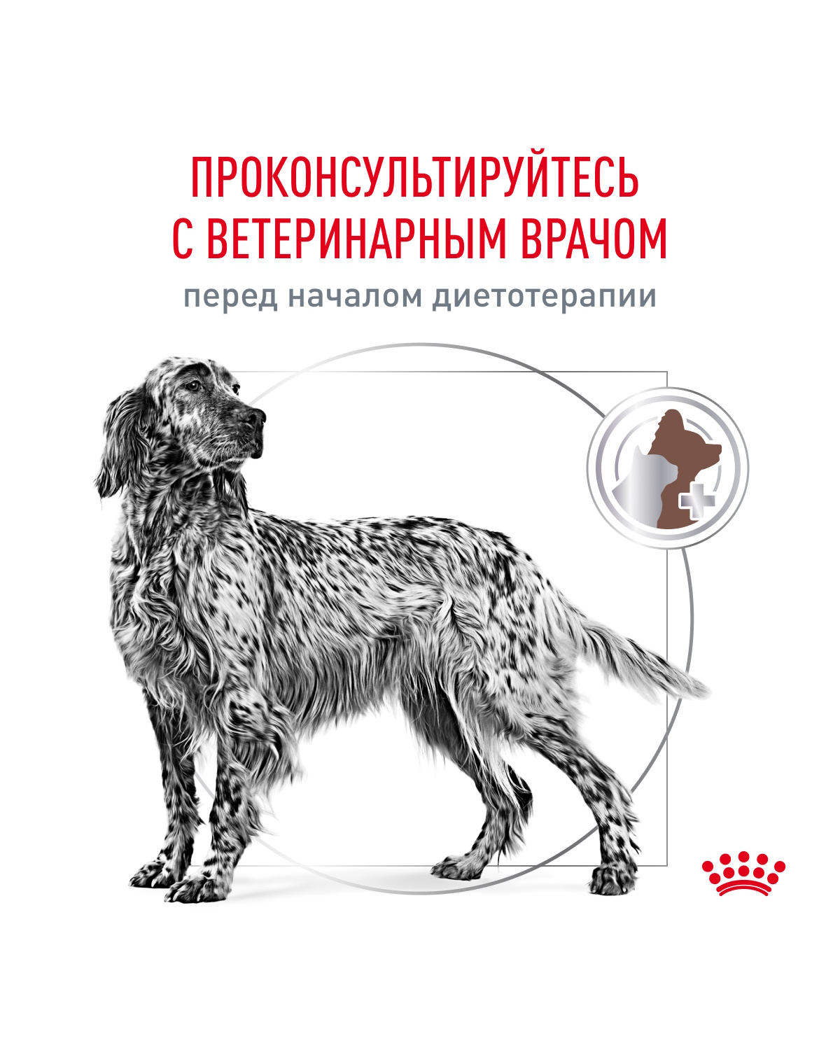 Корм для собак ROYAL CANIN Gastro Intestinal GI25 при нарушениях пищеварения 2кг - фото 9