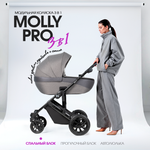 Коляска 3в1 Farfello Molly Pro