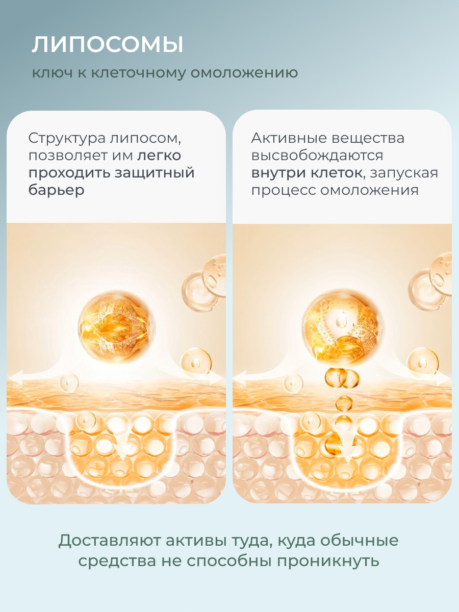 Сыворотка АКАВИЯ PRO Разглаживающая - фото 8