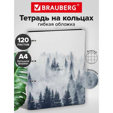Тетрадь со сменным блоком Brauberg клетка 120 лист.