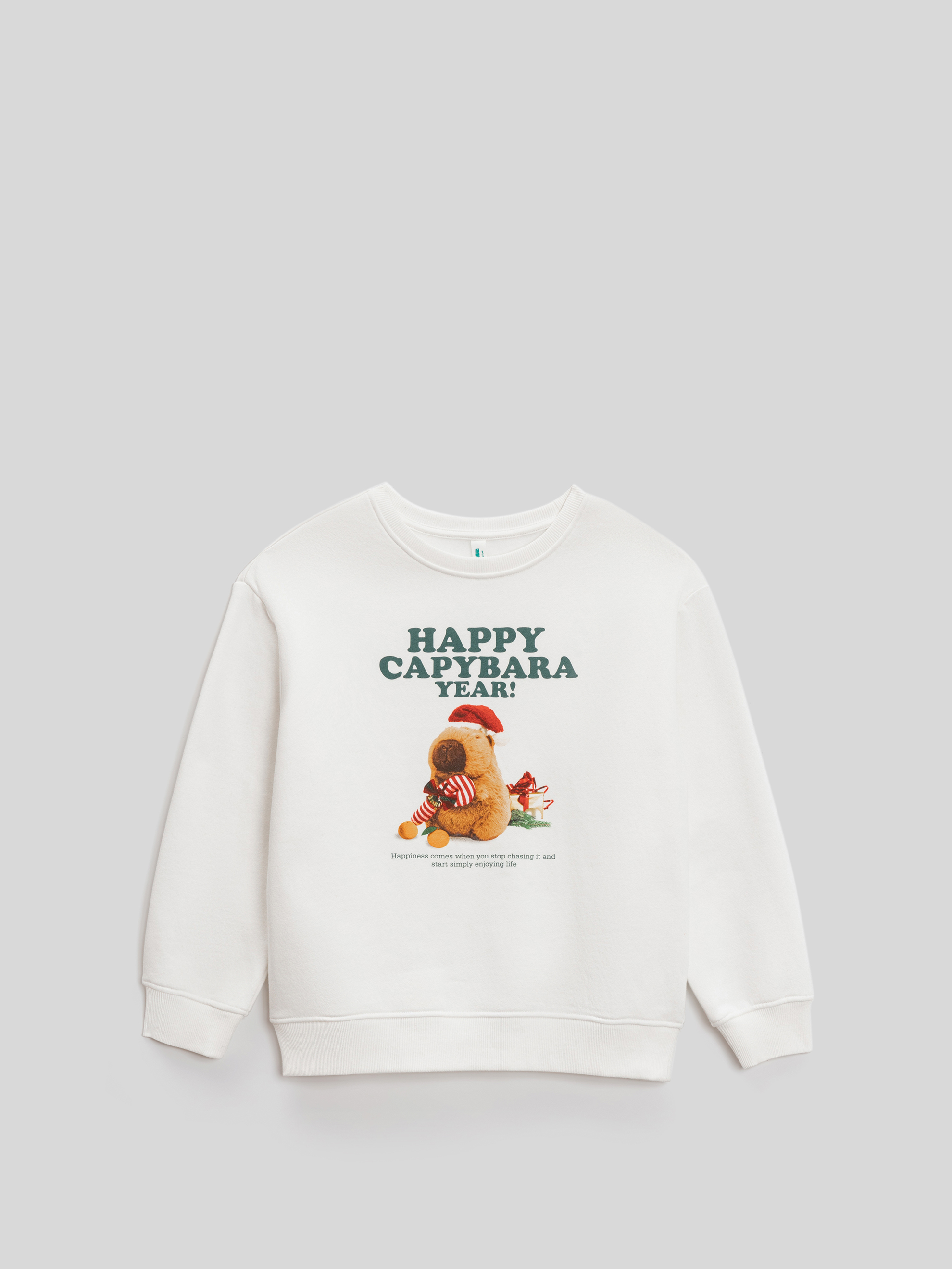 Свитшот Acoola 20230170024_0093552 - фото 4