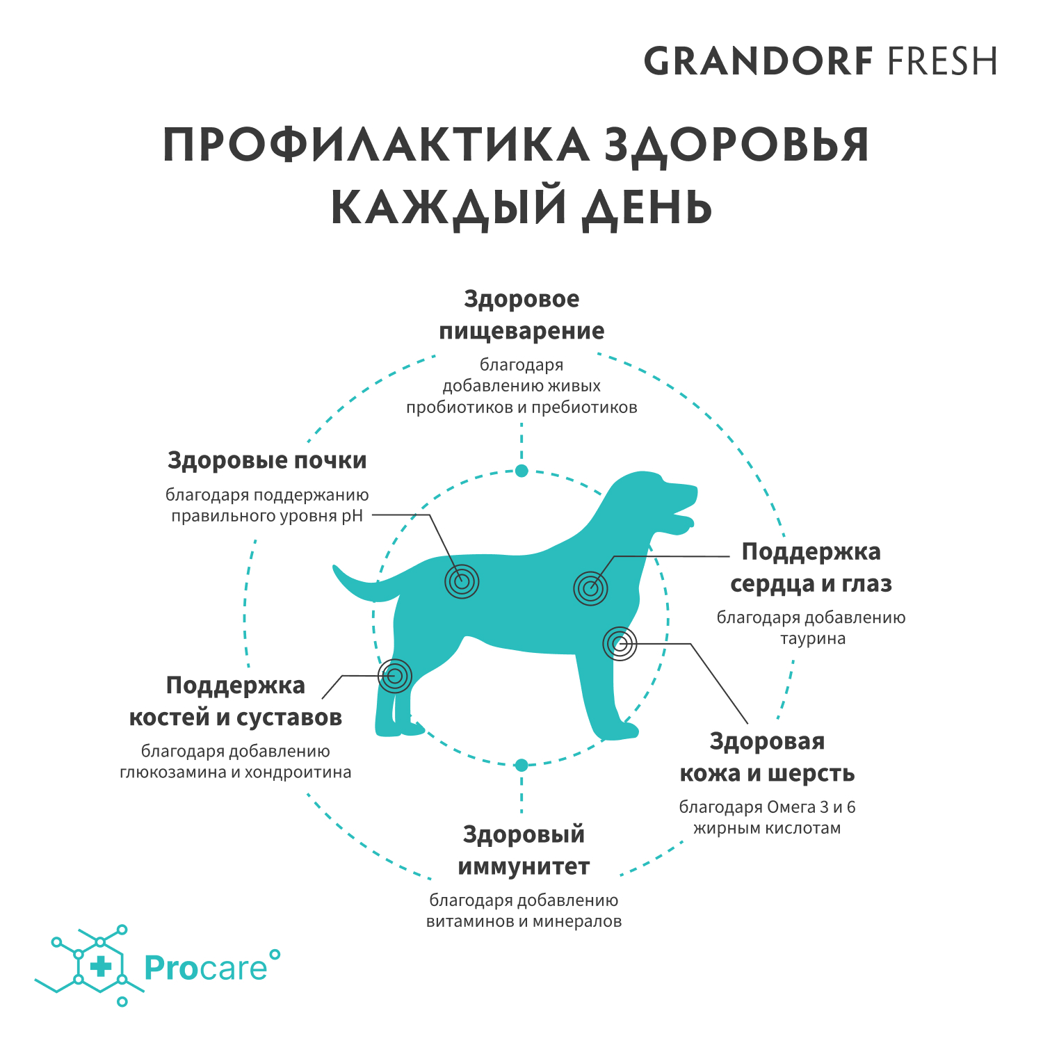 Корм для собак GRANDORF FRESH Fresh Dog Adult Med/Maxi Duck/Sweet Potato сред и круп пород Свежее мясо утки 1кг беззерн с жив пробиот - фото 7