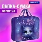 Папка для тетрадей Brauberg А4