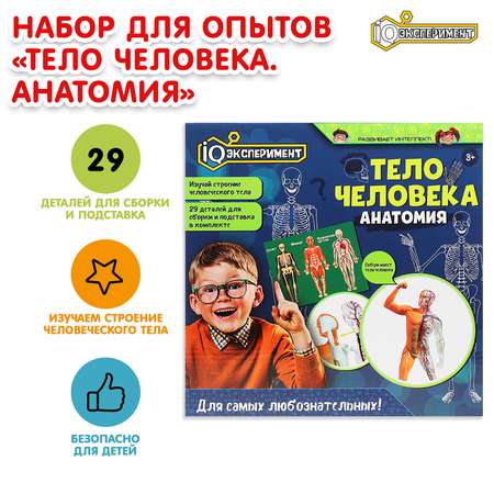 Набор для опытов Играем вместе Тело человека