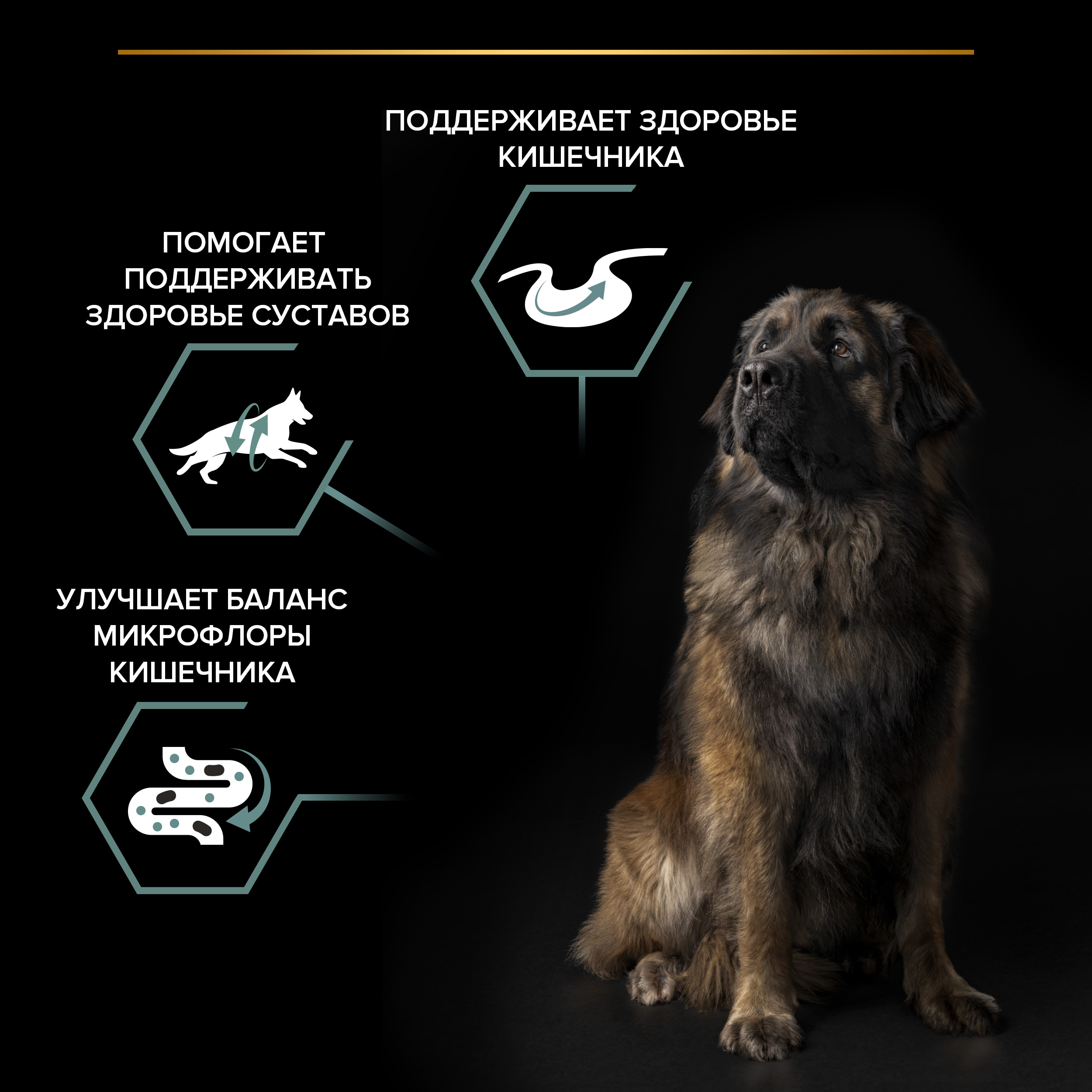 Корм сухой для собак PRO PLAN SENSITIVE DIGESTION 14 кг с ягненком для крупных пород - фото 5