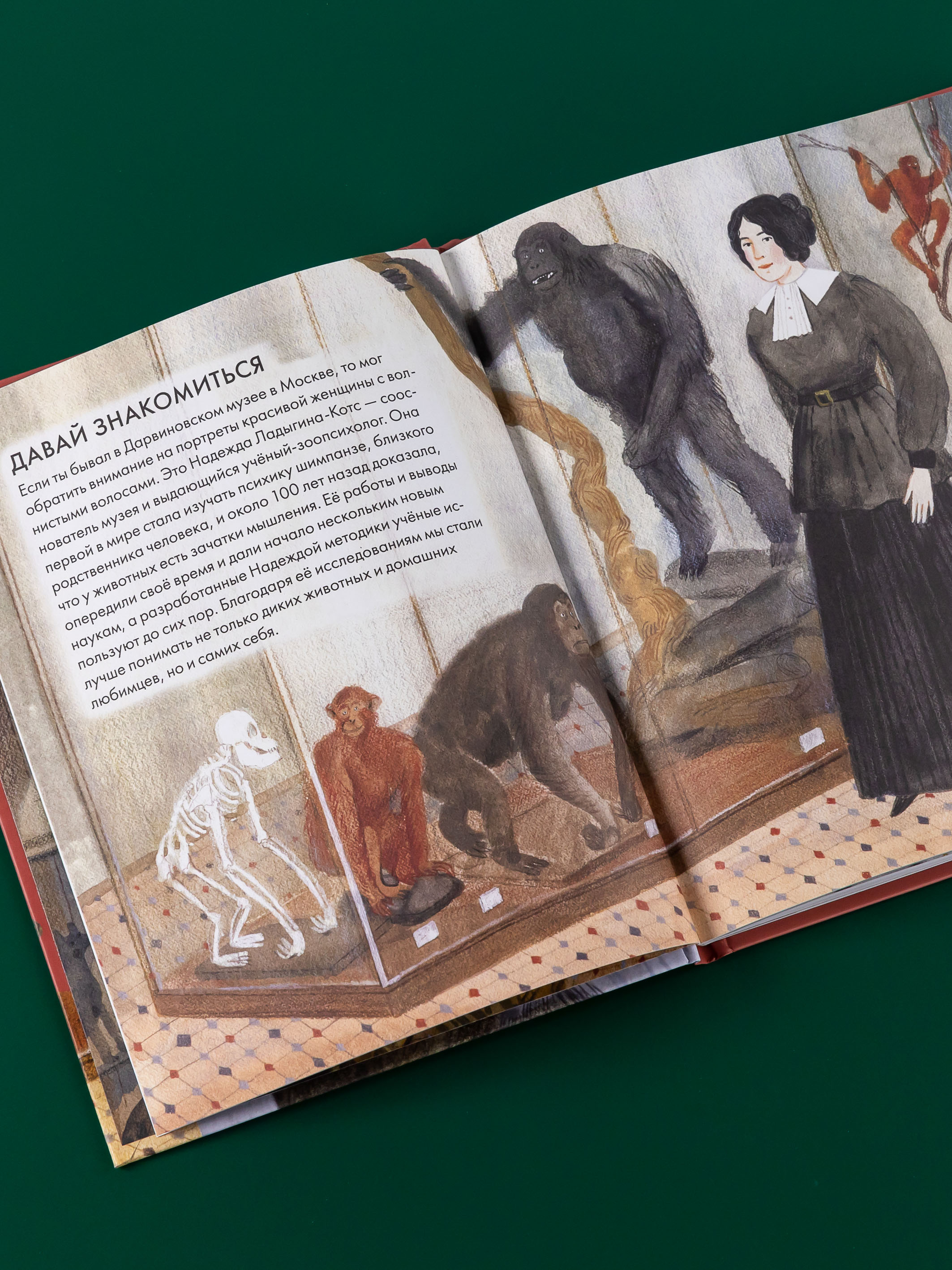 Книга Альпина Паблишер Чему я могу научиться у Надежды Ладыгиной-Котс - фото 7