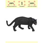 Игровой набор Masai Mara Черная пантера