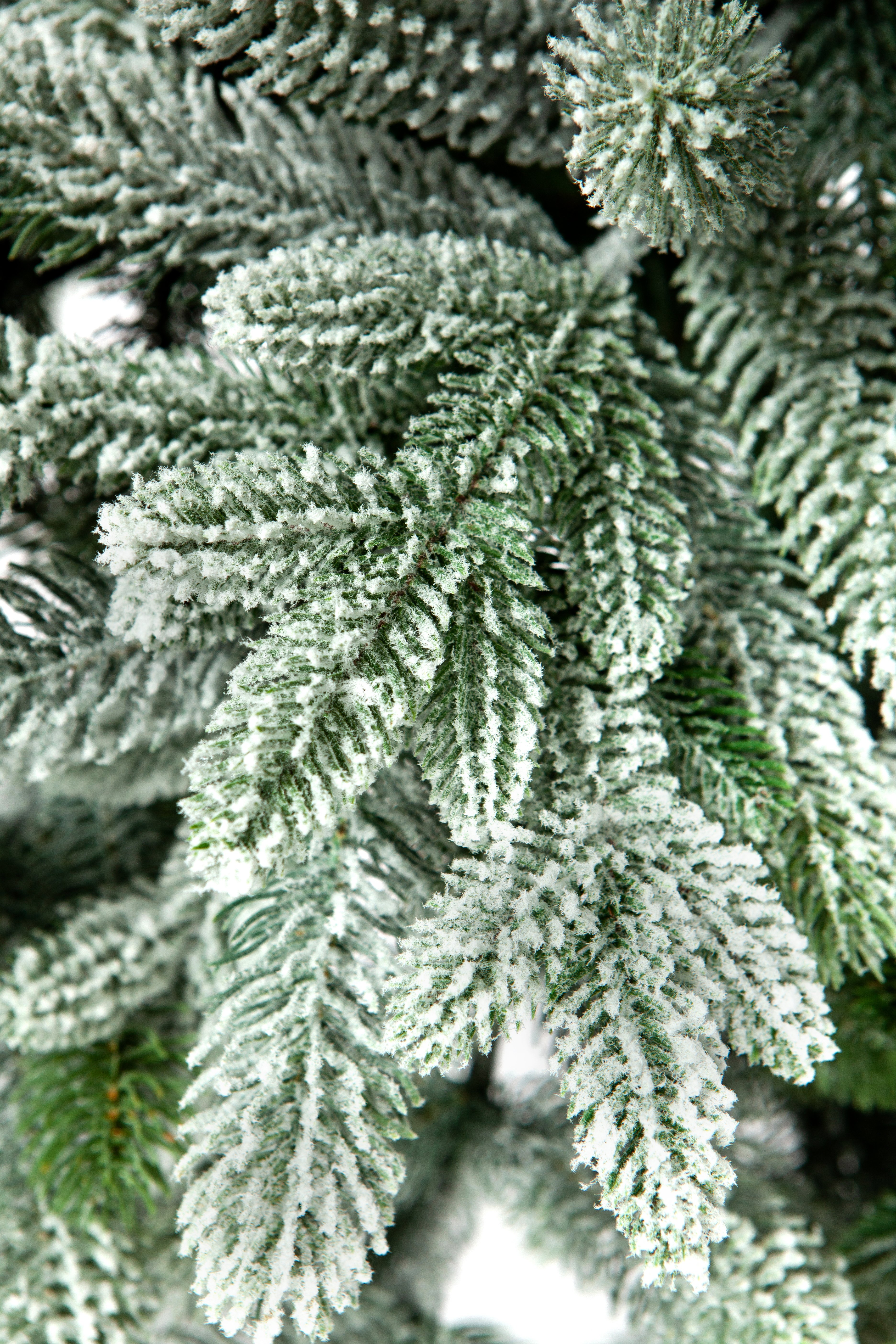 Елка Crystal Trees Ель АНДОРРА в снегу 240 см. - фото 5