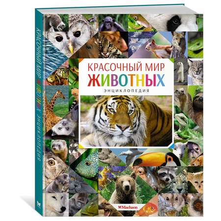 Энциклопедия Махаон Красочный мир животных