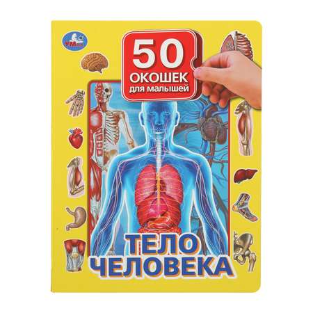 Книга Тело человека 394204