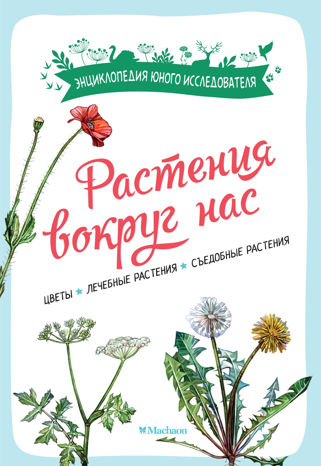 Книга Махаон Франсуа Куплан , Роберт Каплан. Растения вокруг нас - фото 1