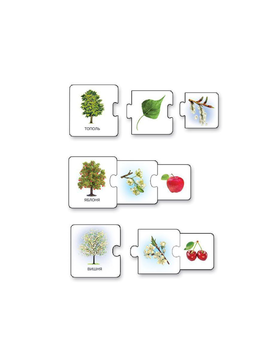 Развивающая игра Дрофа-Медиа С какого дерева листок 2896 - фото 7