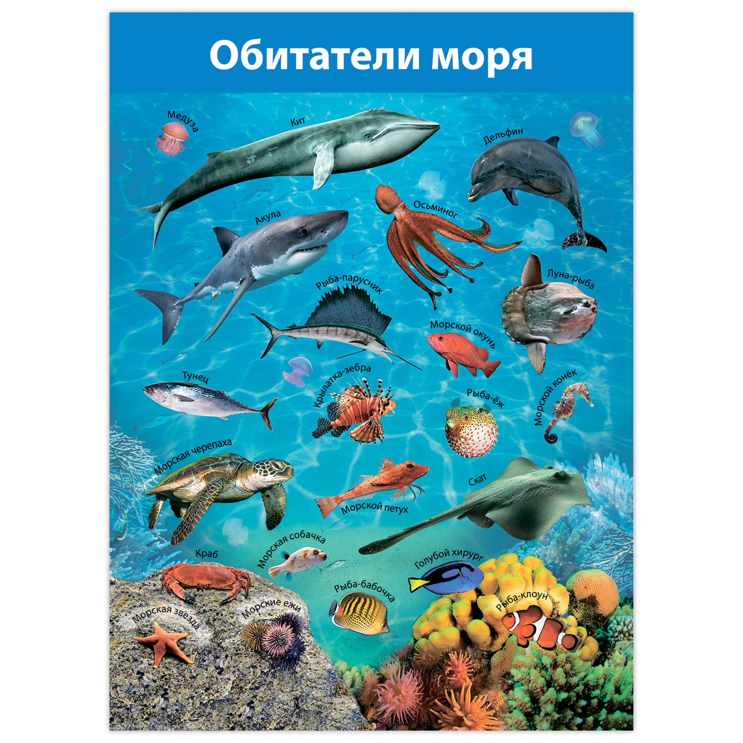 Настольная игра Дрофа-Медиа - фото 3