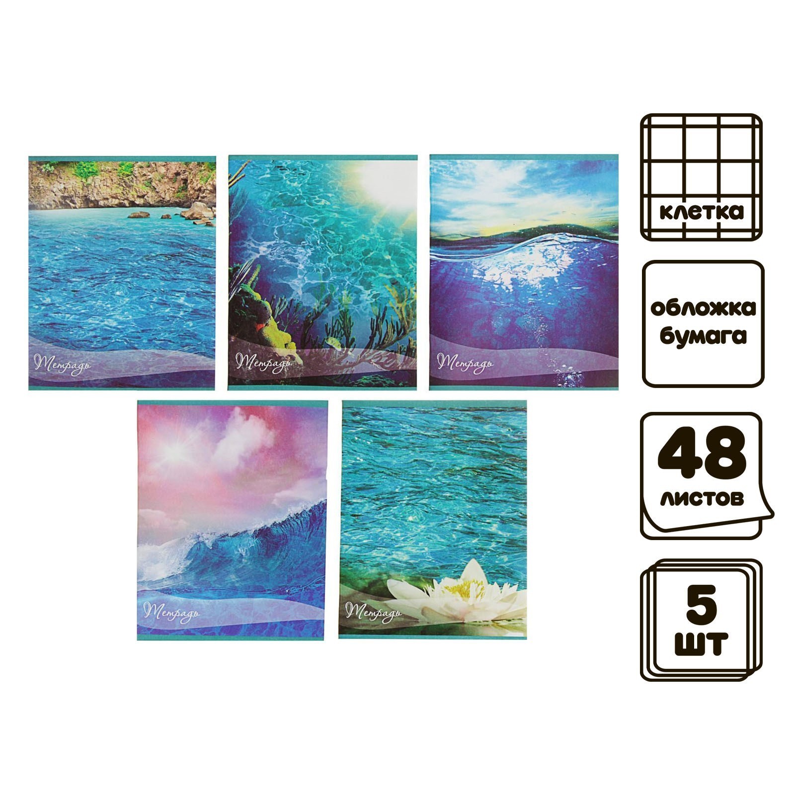 Тетрадь Calligrata клетка - фото 2