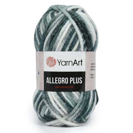 Пряжа YarnArt Allegro Plus очень толстая 100 г 110 м 748 секционный 5 мотков