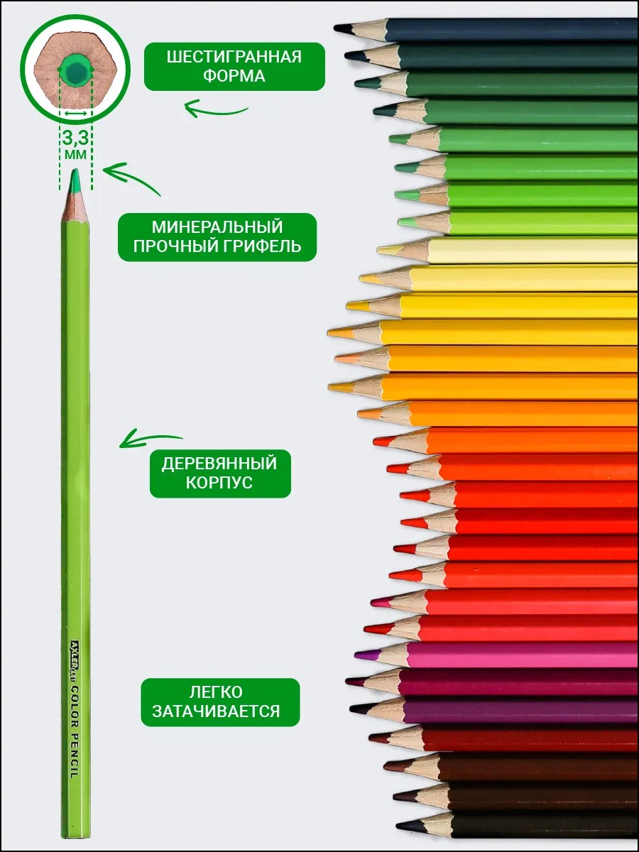 Карандаши цветные AXLER 50 шт. - фото 3