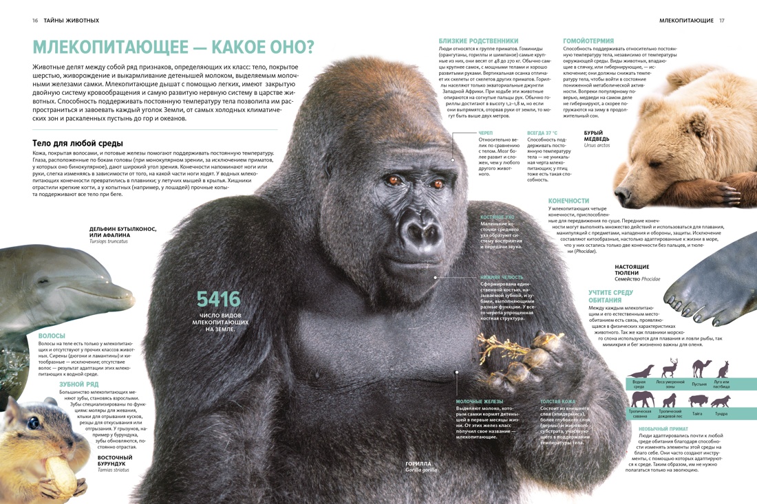 Книга Махаон Бертонатти К. Перейра Х. А. Тайны животных - фото 8