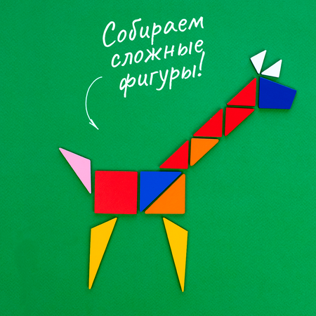 Настольная игра Raduga Kids Головоломка