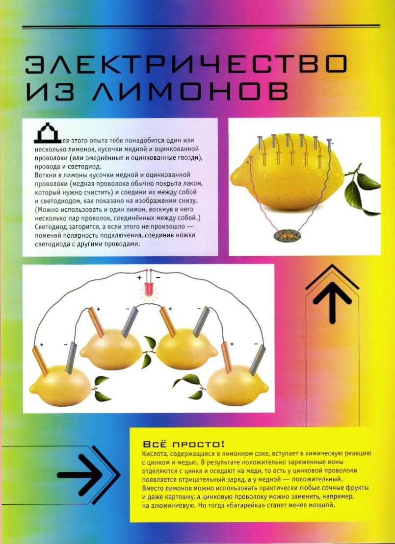 Журналы ИД Лев Юный Эрудит №5+№6 - 2026 - фото 7
