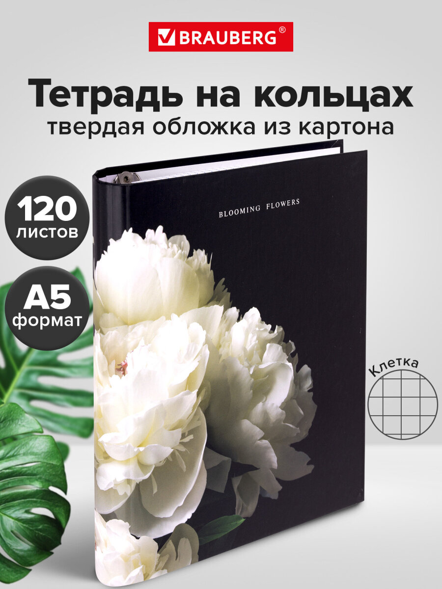 Тетрадь Brauberg клетка - фото 1