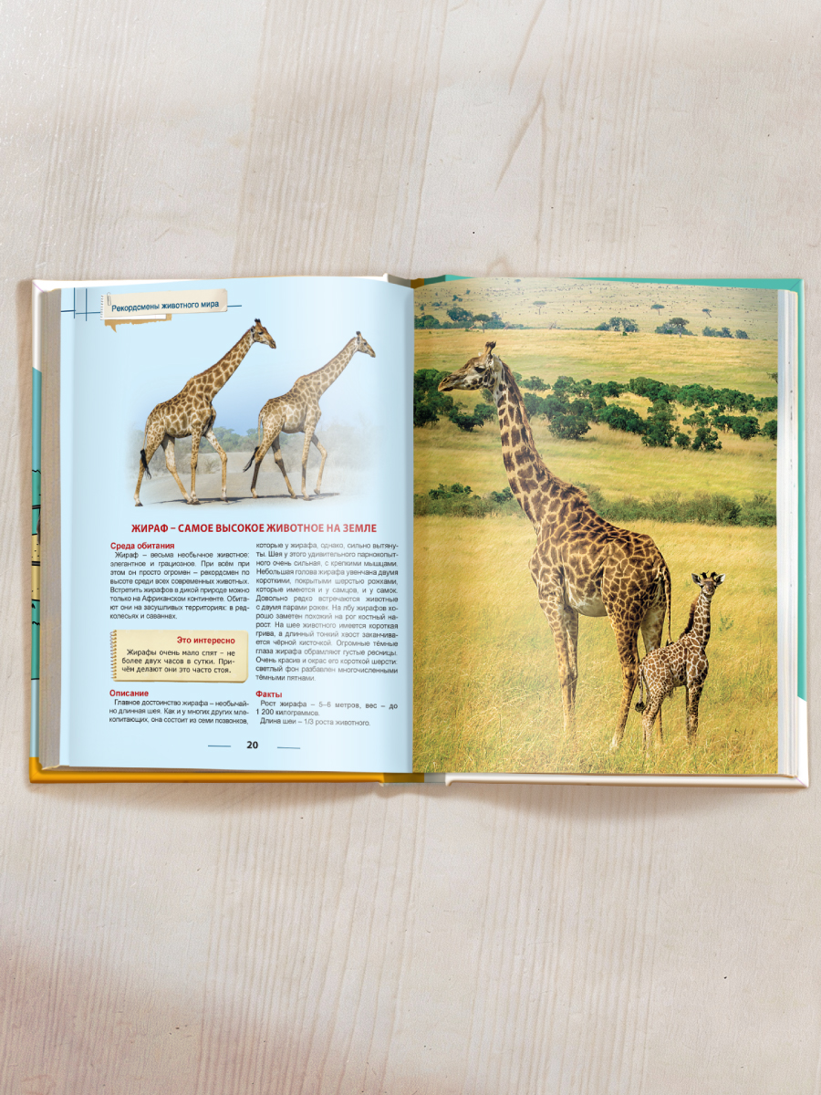Книга Проф-Пресс Энциклопедия для детей. Рекордсмены животного мира - фото 7