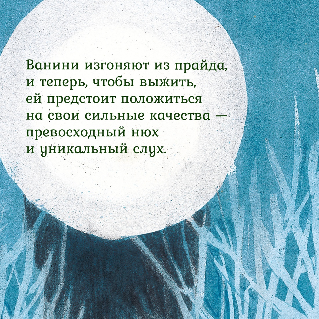 Книга Махаон Ванини - королева львов. Комплект из 4-х книг - фото 6