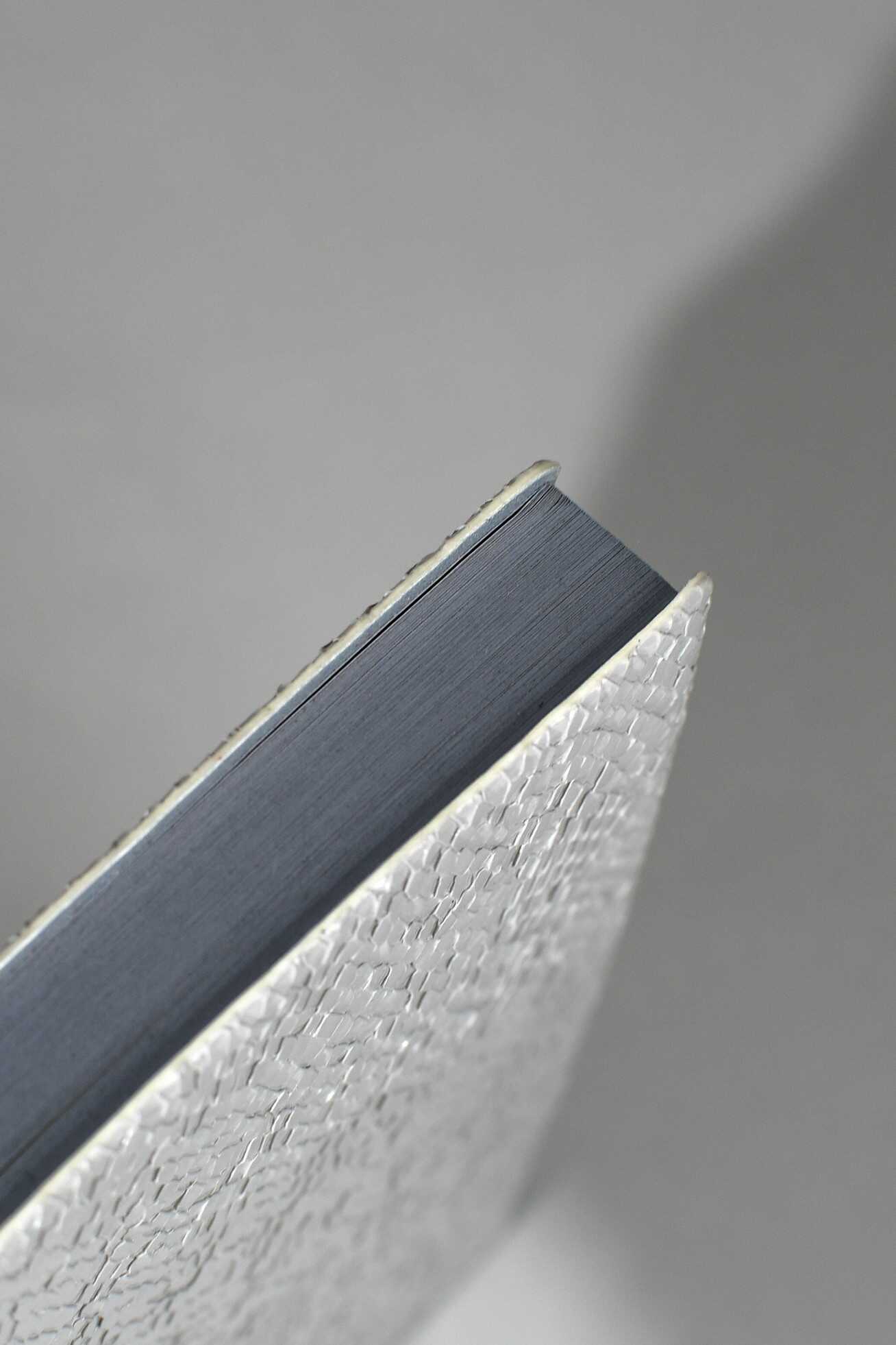 Ежедневник Феникс + ESCALADA 160 лист. - фото 9