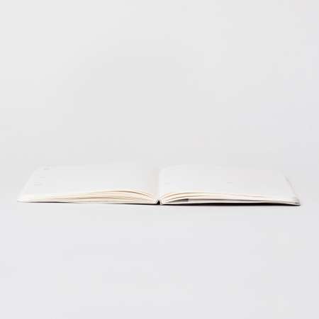 Ежедневник Falafel books