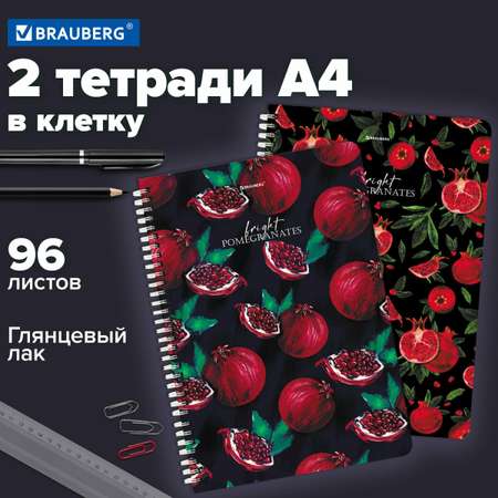 Общая тетрадь Brauberg клетка 96 лист. 2 шт.