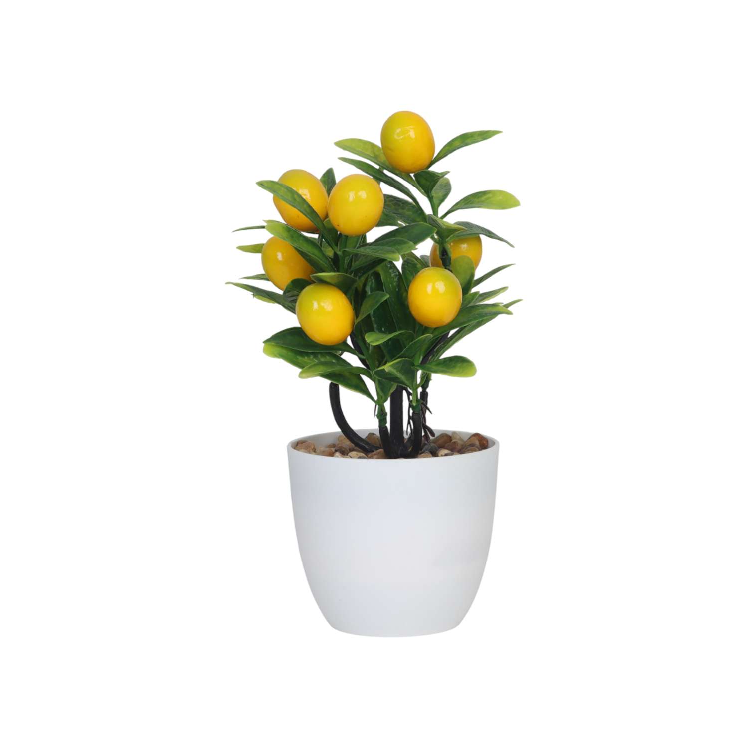 Дерево ё лимонное - фото 2