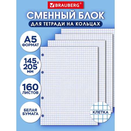 Тетрадь со сменным блоком Brauberg клетка 160 лист.