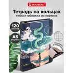 Тетрадь Brauberg клетка