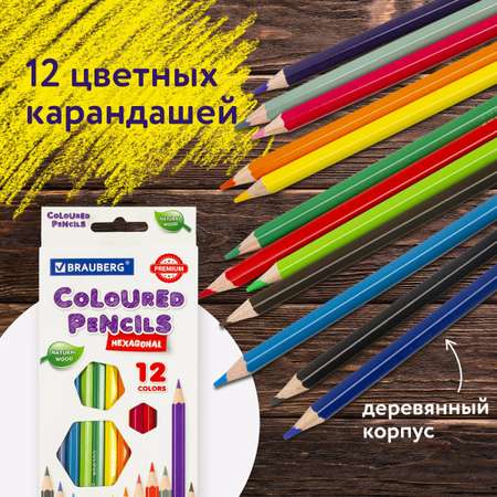 Карандаши цветные Brauberg 12 шт.