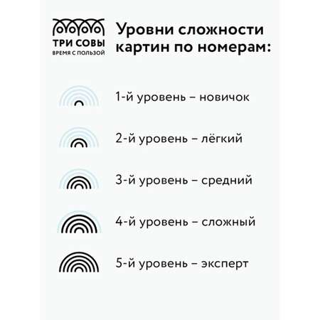 Картина по номерам ТРИ СОВЫ Любовь