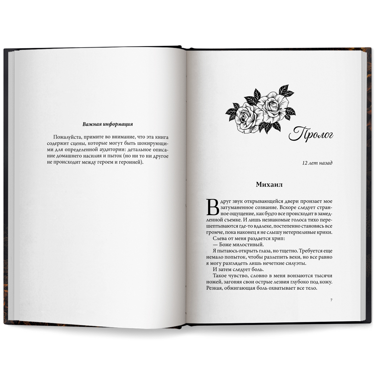 Прерывистый шепот Феникс Книга - фото 10