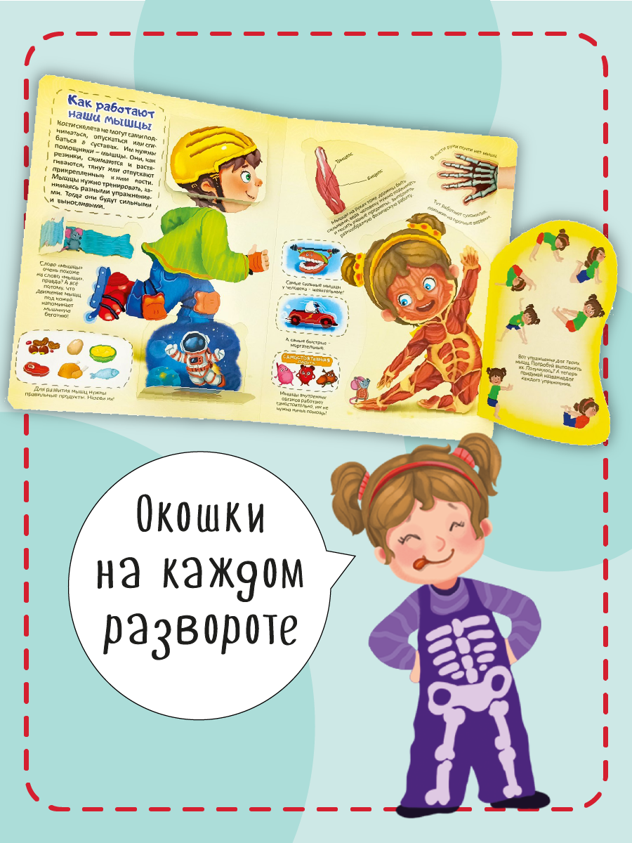 Книжка для малышей BimBiMon с окошками. Моя первая анатомия Виммельбух - фото 4