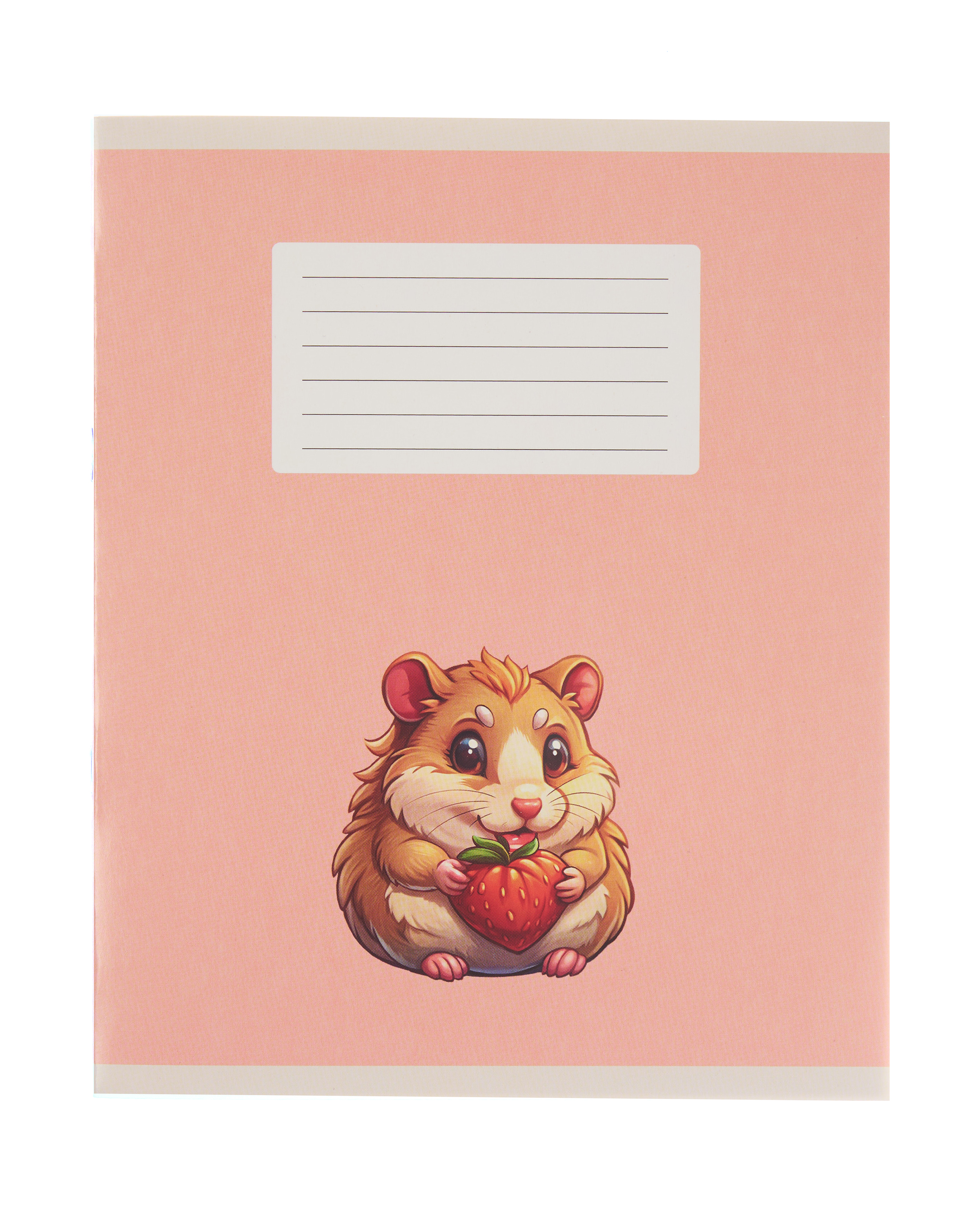 Тетрадь Erhaft клетка 12 лист. в ассортименте - фото 2