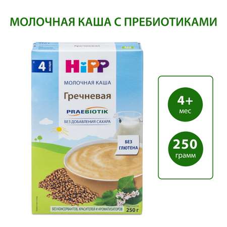 Каша молочная Hipp с пребиотиками гречка 250г с 4месяцев