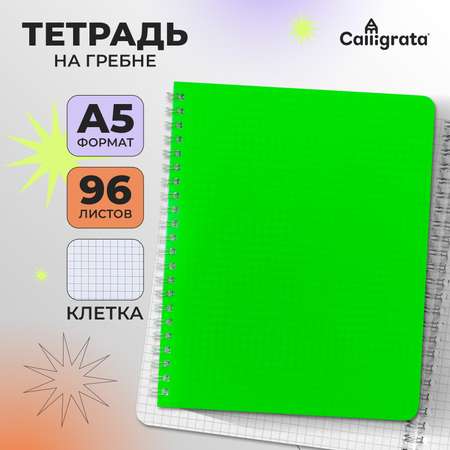 Тетрадь Calligrata клетка